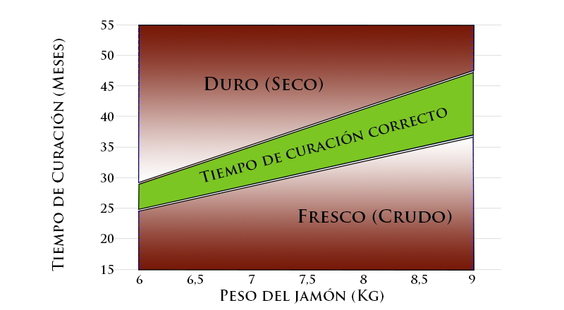 tiempo curación jamones